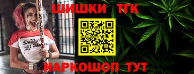 гашик Дубна