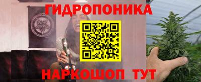гашик Дубна
